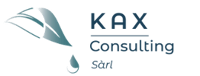 kax-consulting